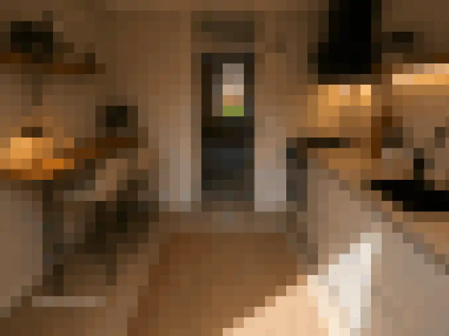 De IJsvogel 27 Vriezenveen thumbnail 10