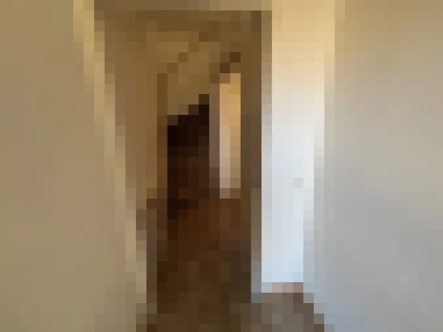 De IJsvogel 27 Vriezenveen thumbnail 11