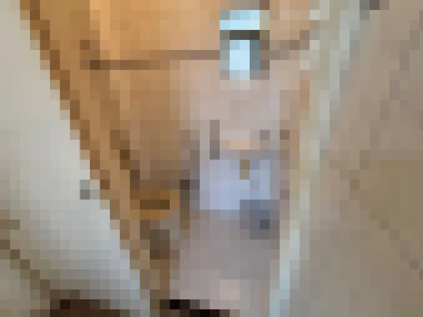 De IJsvogel 27 Vriezenveen thumbnail 13