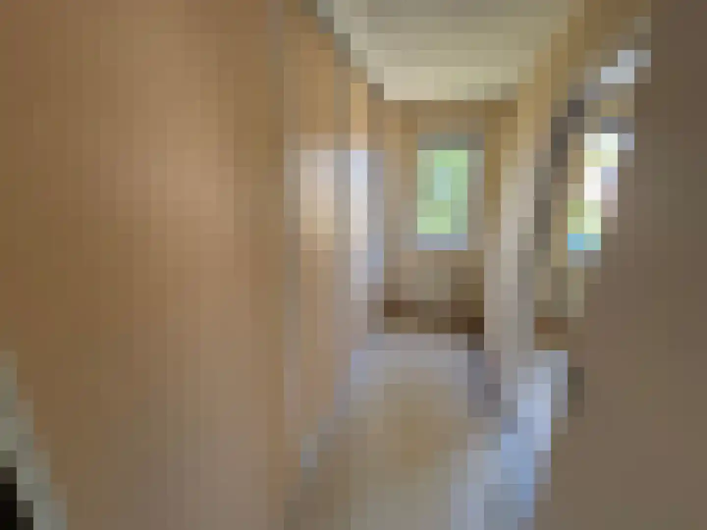 De IJsvogel 27 Vriezenveen thumbnail 15