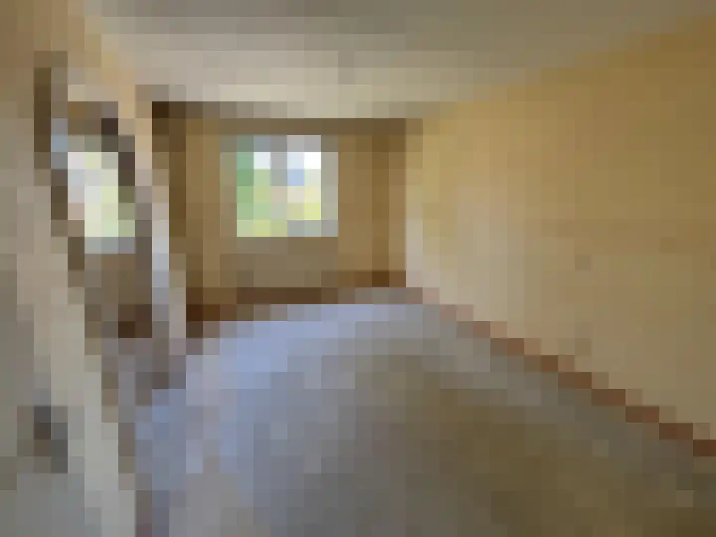 De IJsvogel 27 Vriezenveen thumbnail 17