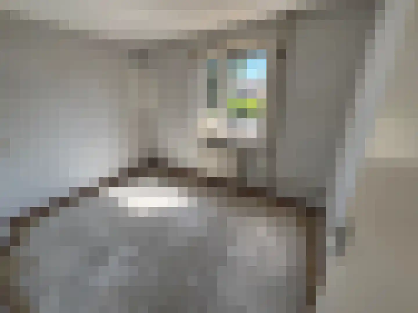 De IJsvogel 27 Vriezenveen thumbnail 19