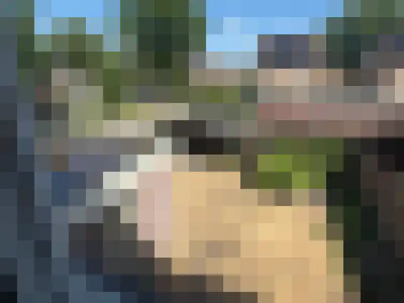 De IJsvogel 27 Vriezenveen foto 2