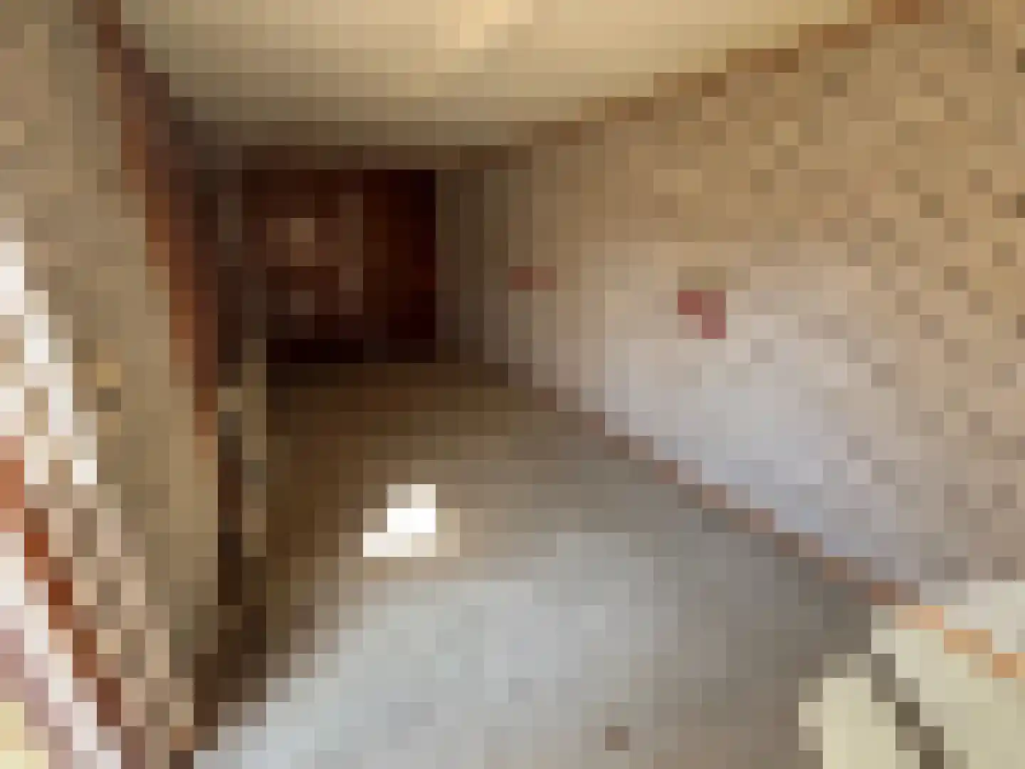 De IJsvogel 27 Vriezenveen thumbnail 23