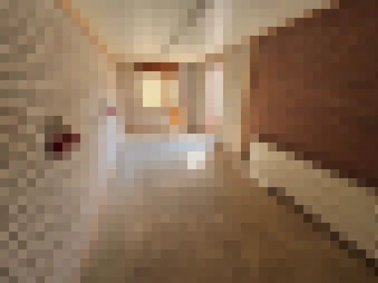 De IJsvogel 27 Vriezenveen thumbnail 24