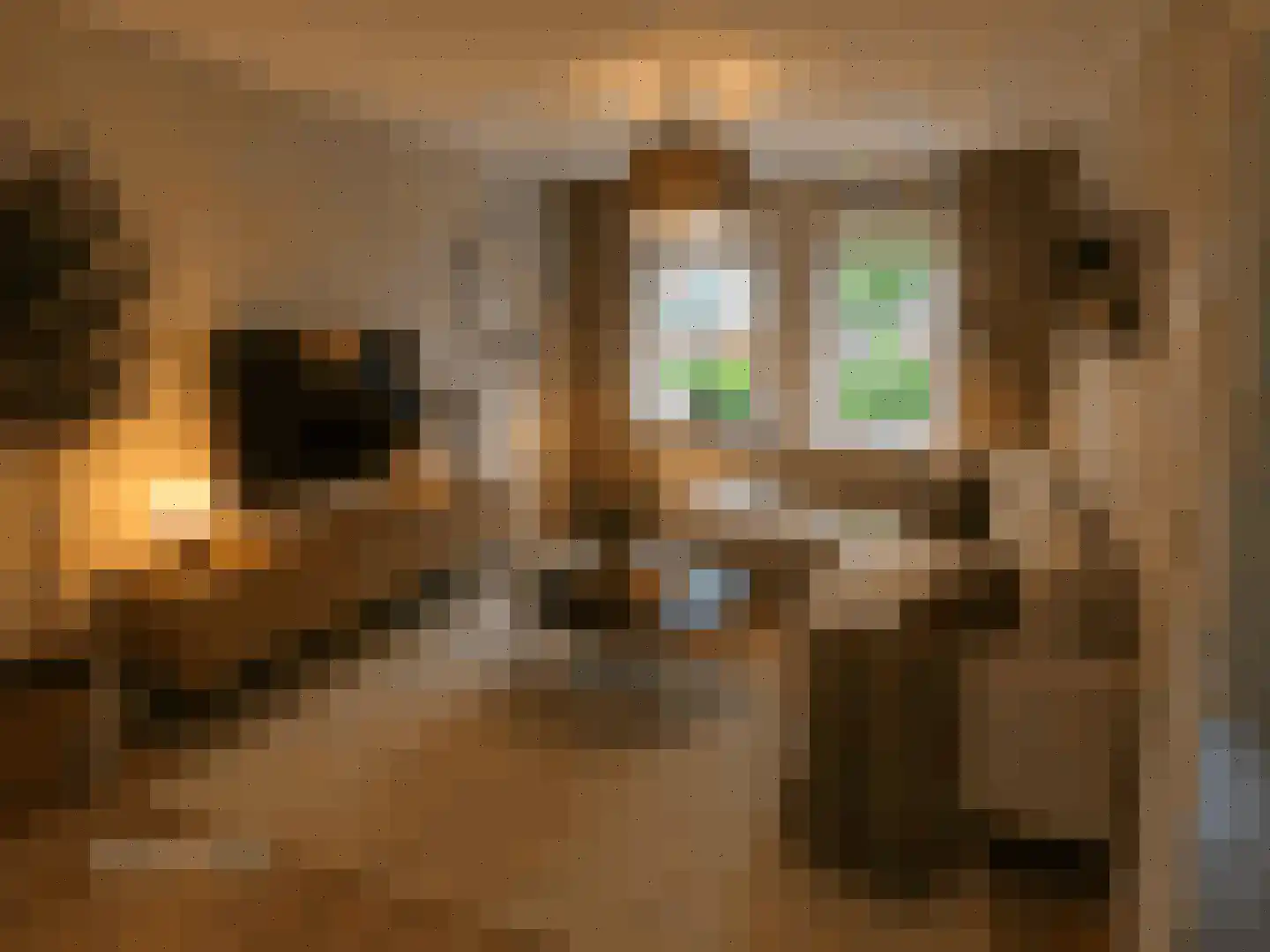 De IJsvogel 27 Vriezenveen thumbnail 4