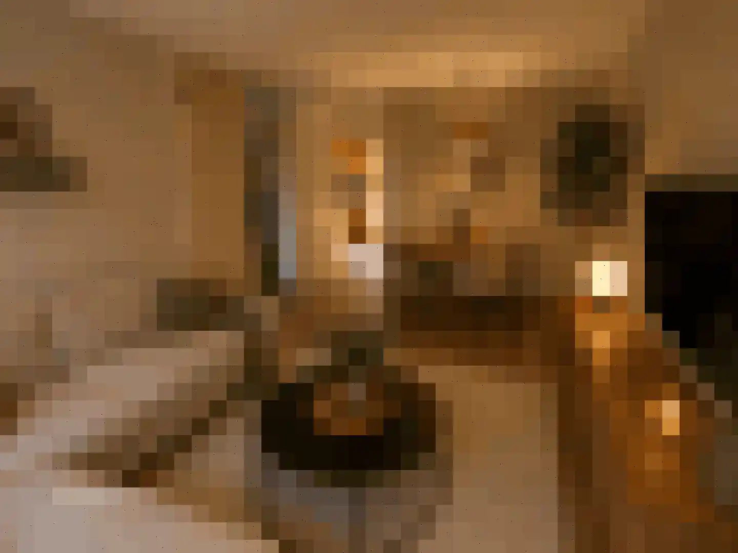De IJsvogel 27 Vriezenveen thumbnail 6
