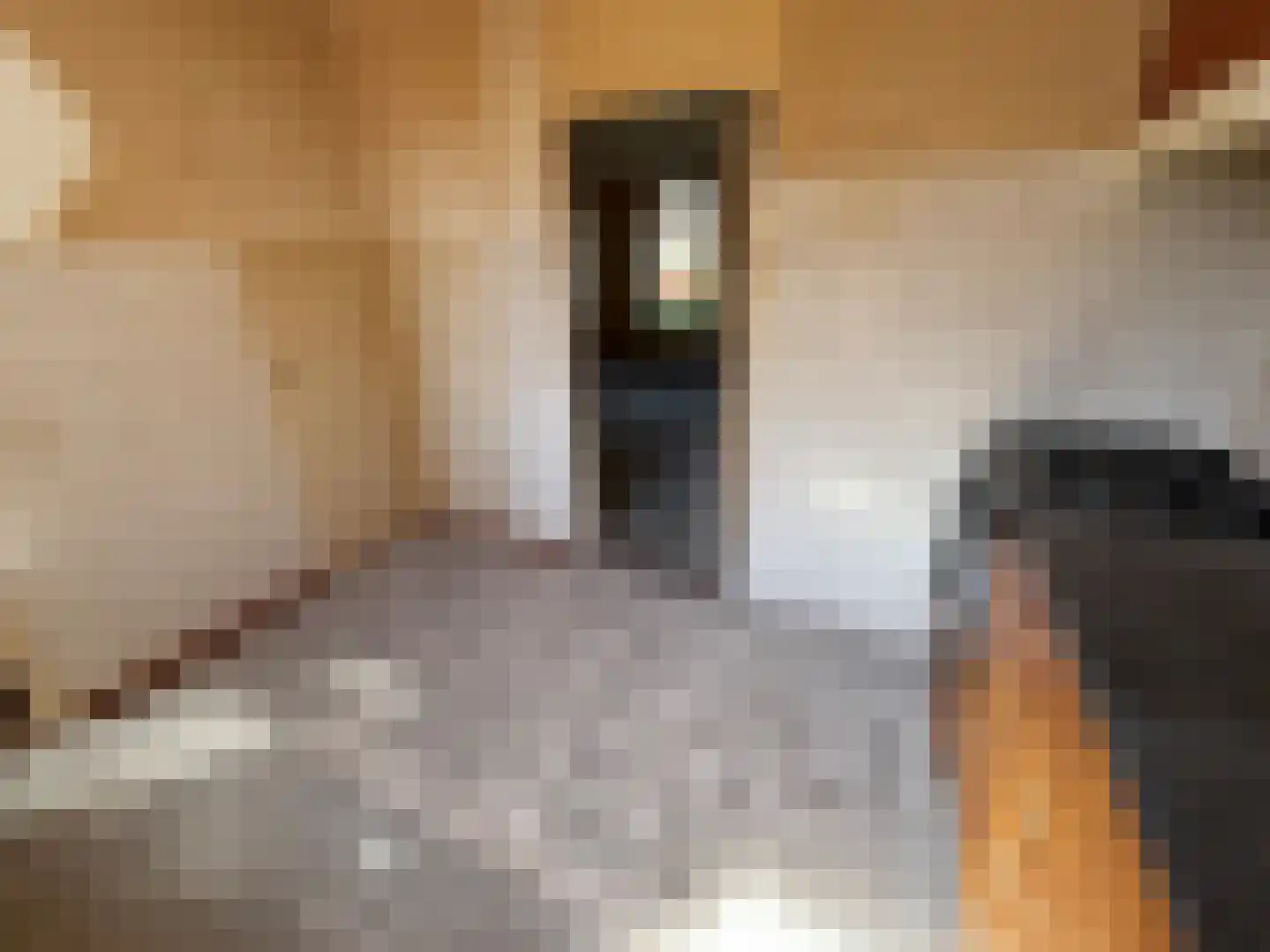 De IJsvogel 27 Vriezenveen thumbnail 9