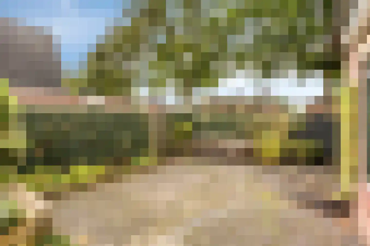 De IJsvogel 32 Vriezenveen thumbnail 22