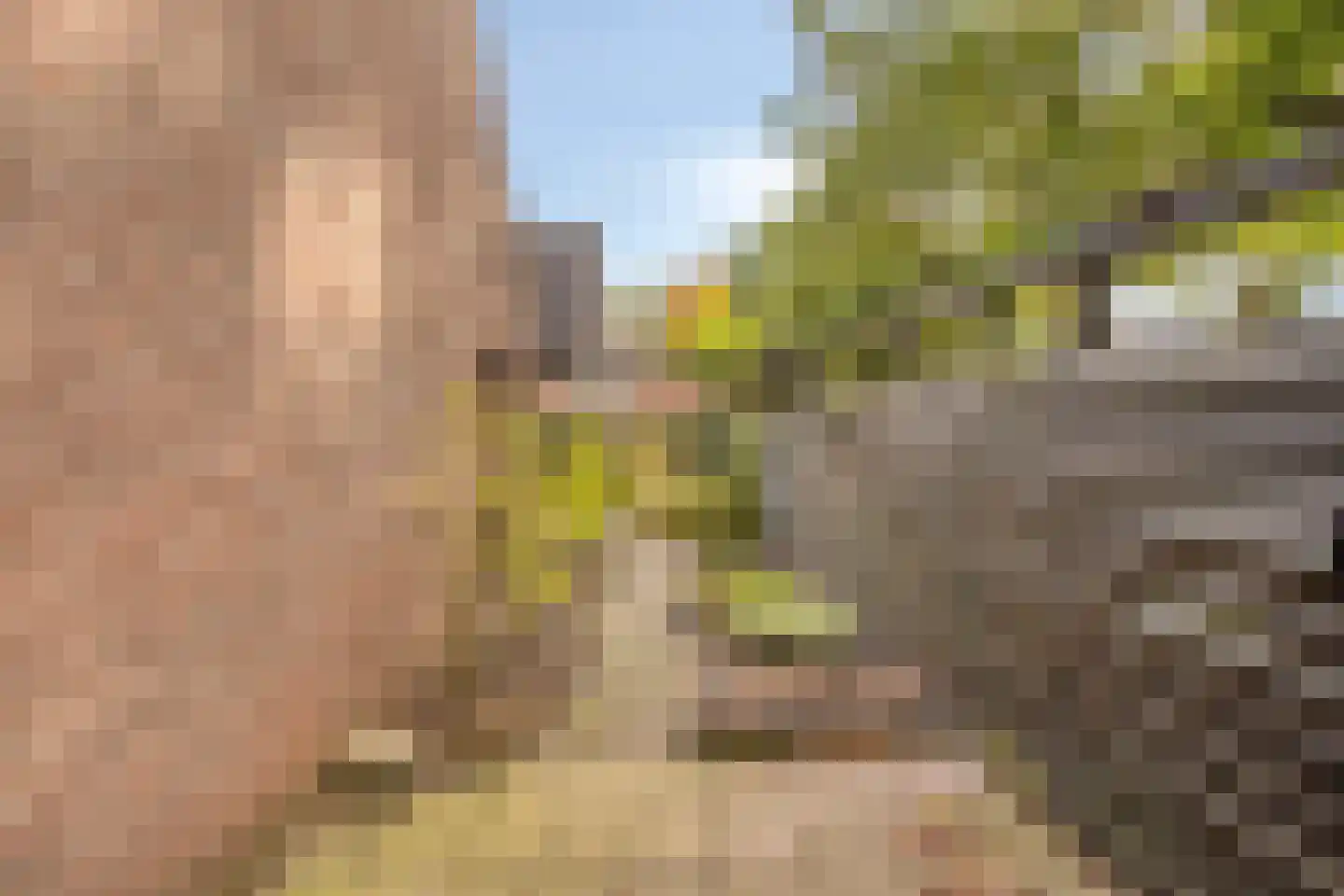 De IJsvogel 32 Vriezenveen thumbnail 23