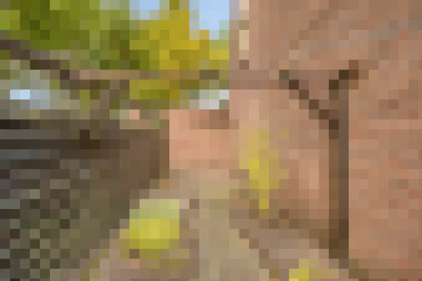 De IJsvogel 32 Vriezenveen thumbnail 24