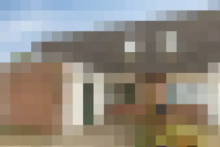 De IJsvogel 38 en Vriezenveen