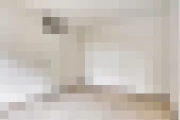De IJsvogel 38 Vriezenveen thumbnail 12