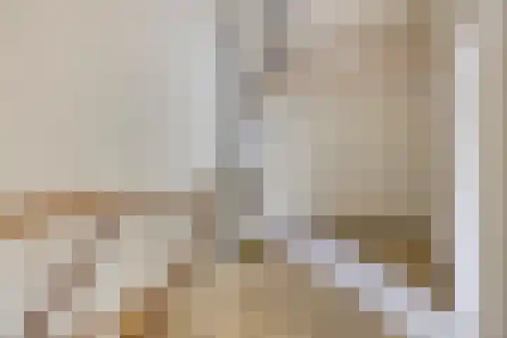 De IJsvogel 38 Vriezenveen thumbnail 17