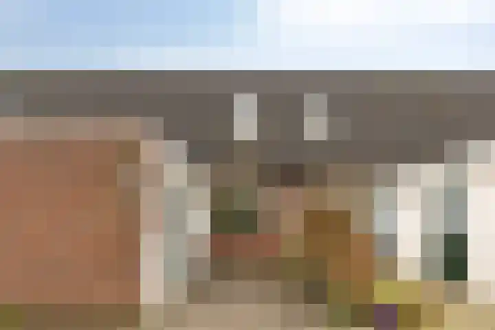 De IJsvogel 38 Vriezenveen foto 2