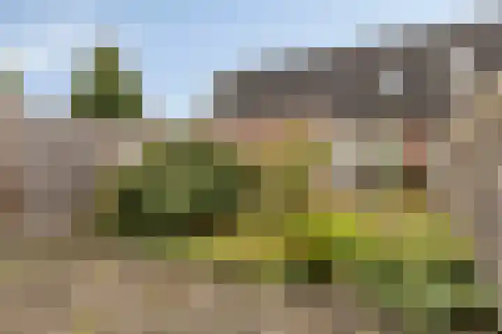 De IJsvogel 38 Vriezenveen thumbnail 20