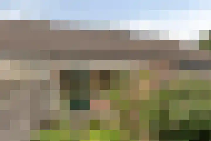 De IJsvogel 38 Vriezenveen thumbnail 21
