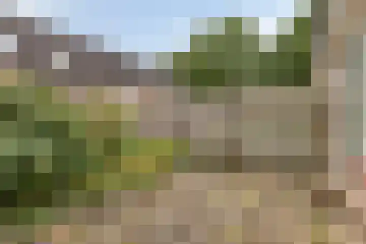 De IJsvogel 38 Vriezenveen thumbnail 22