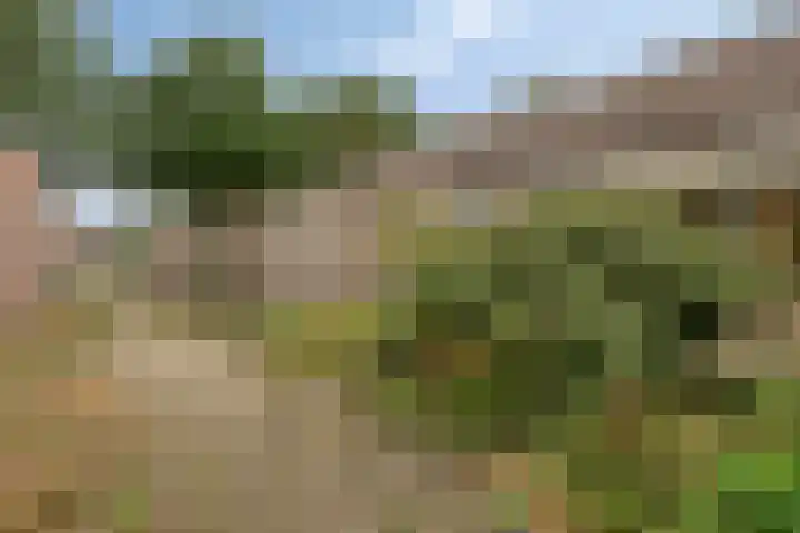 De IJsvogel 38 Vriezenveen thumbnail 23