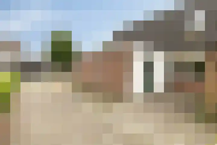 De IJsvogel 38 Vriezenveen thumbnail 24