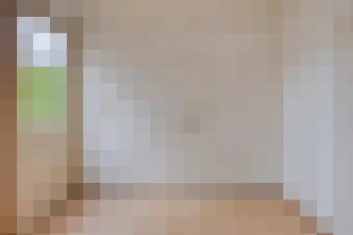 De IJsvogel 4 Vriezenveen thumbnail 14