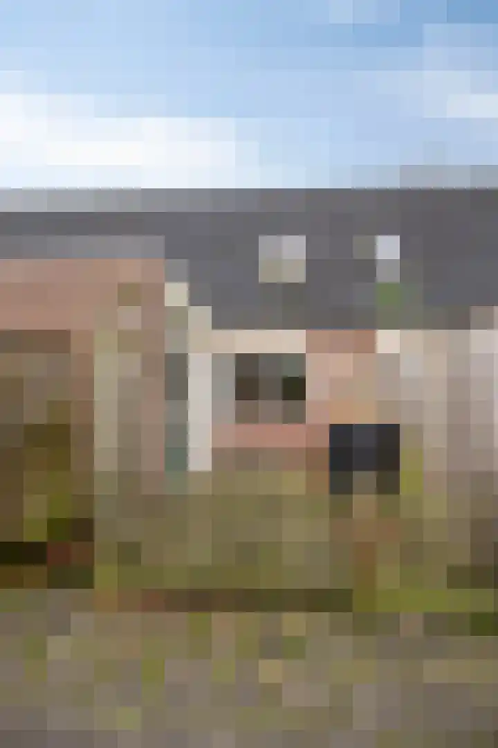 De IJsvogel 4 Vriezenveen foto 2