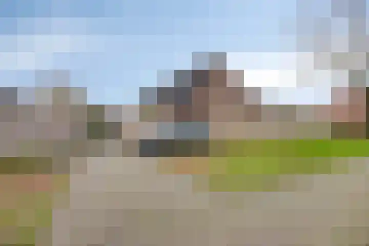 De IJsvogel 4 Vriezenveen thumbnail 23