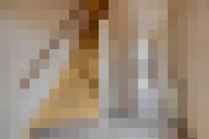 De IJsvogel 4 Vriezenveen foto 3