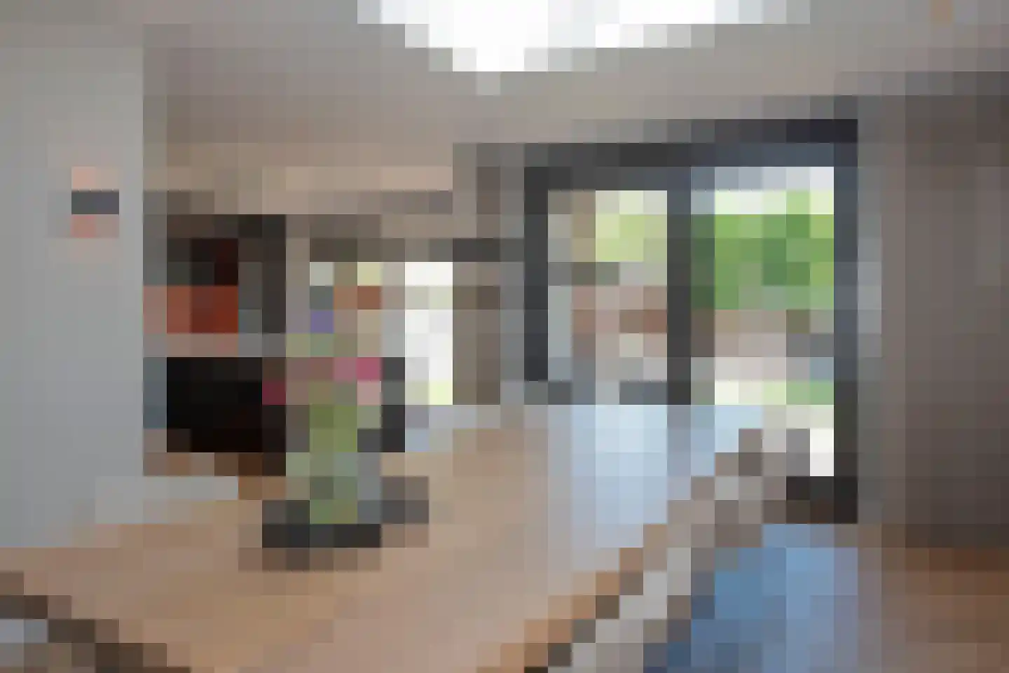 De IJsvogel 5 Delden thumbnail 14
