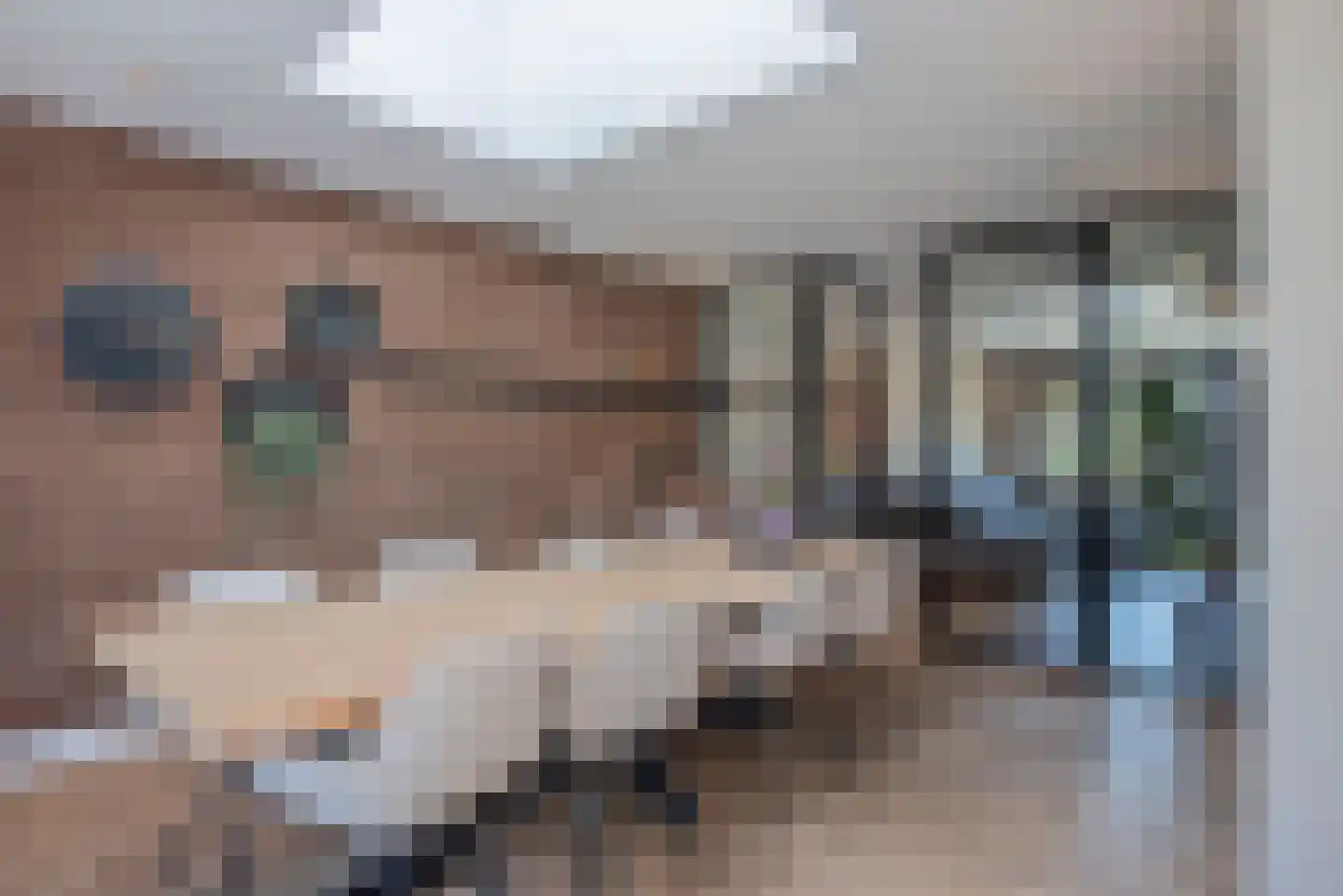 De IJsvogel 5 Delden thumbnail 15