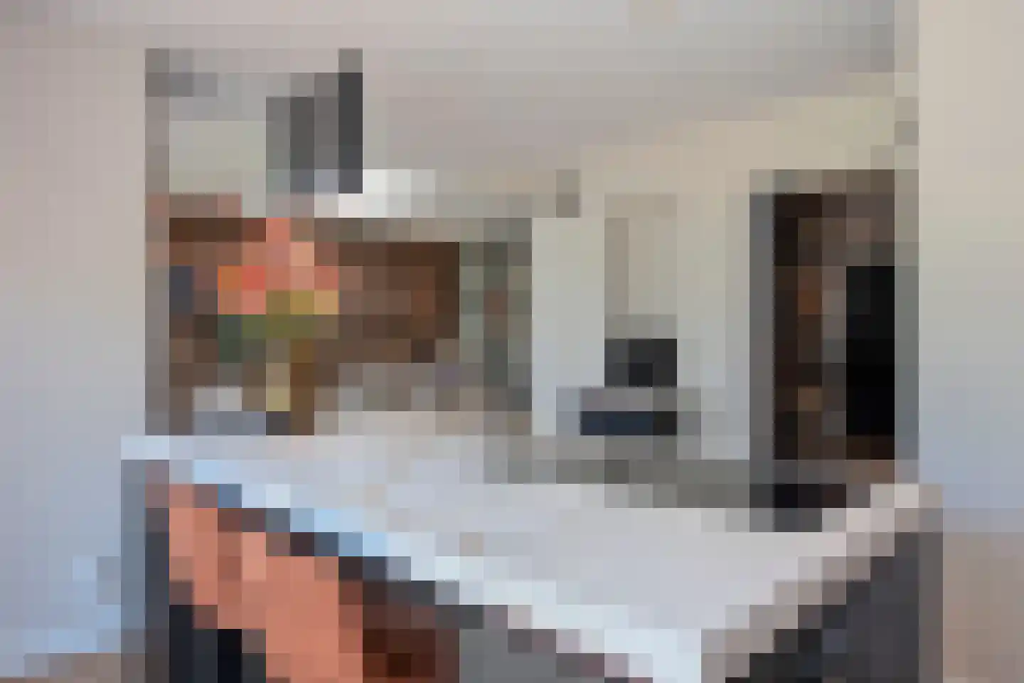De IJsvogel 5 Delden thumbnail 22