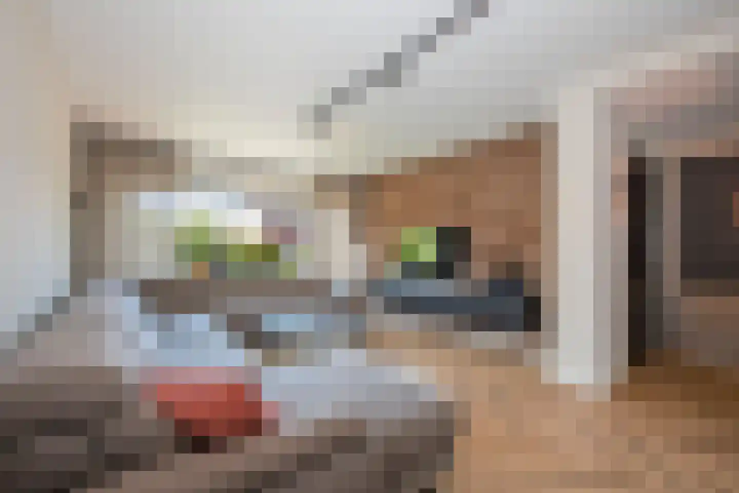 De IJsvogel 5 Delden foto 3