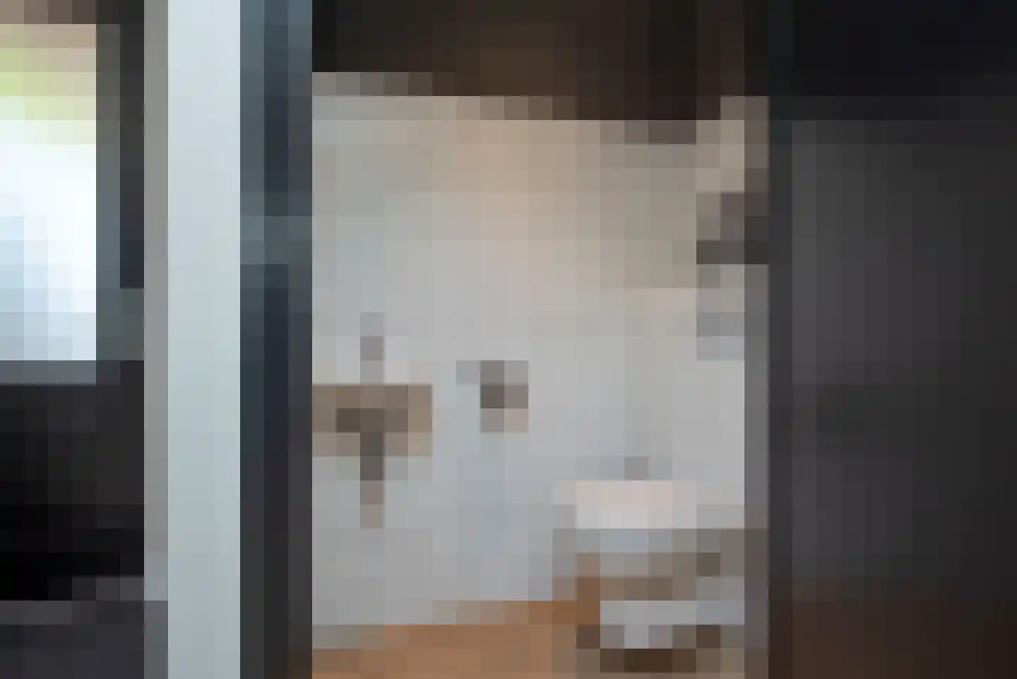 De IJsvogel 5 Delden thumbnail 30