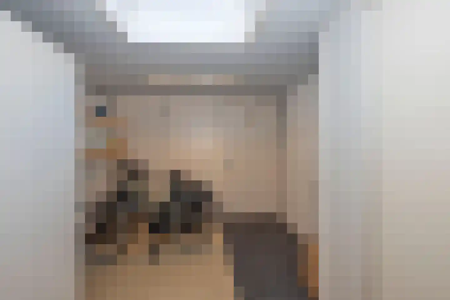 De IJsvogel 5 Delden thumbnail 31