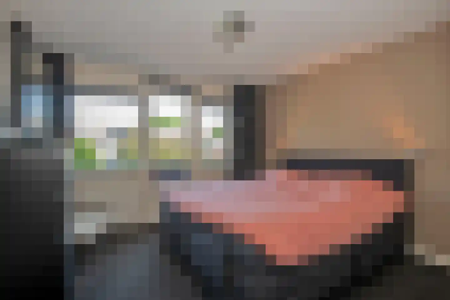 De IJsvogel 5 Delden thumbnail 32