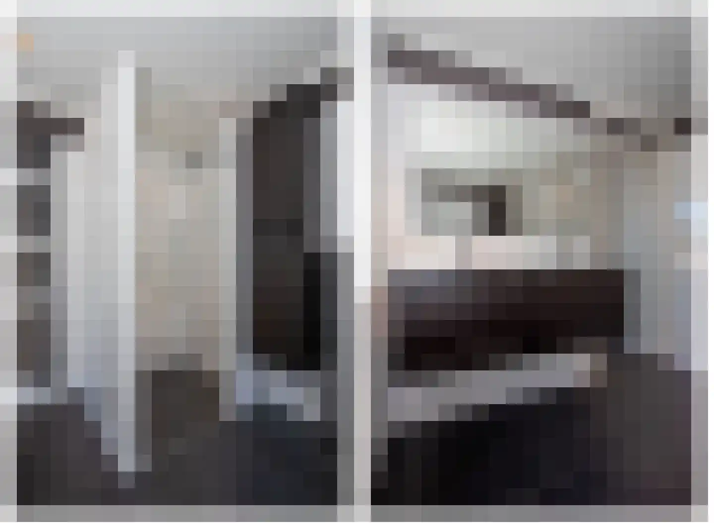 De IJsvogel 5 Delden thumbnail 36