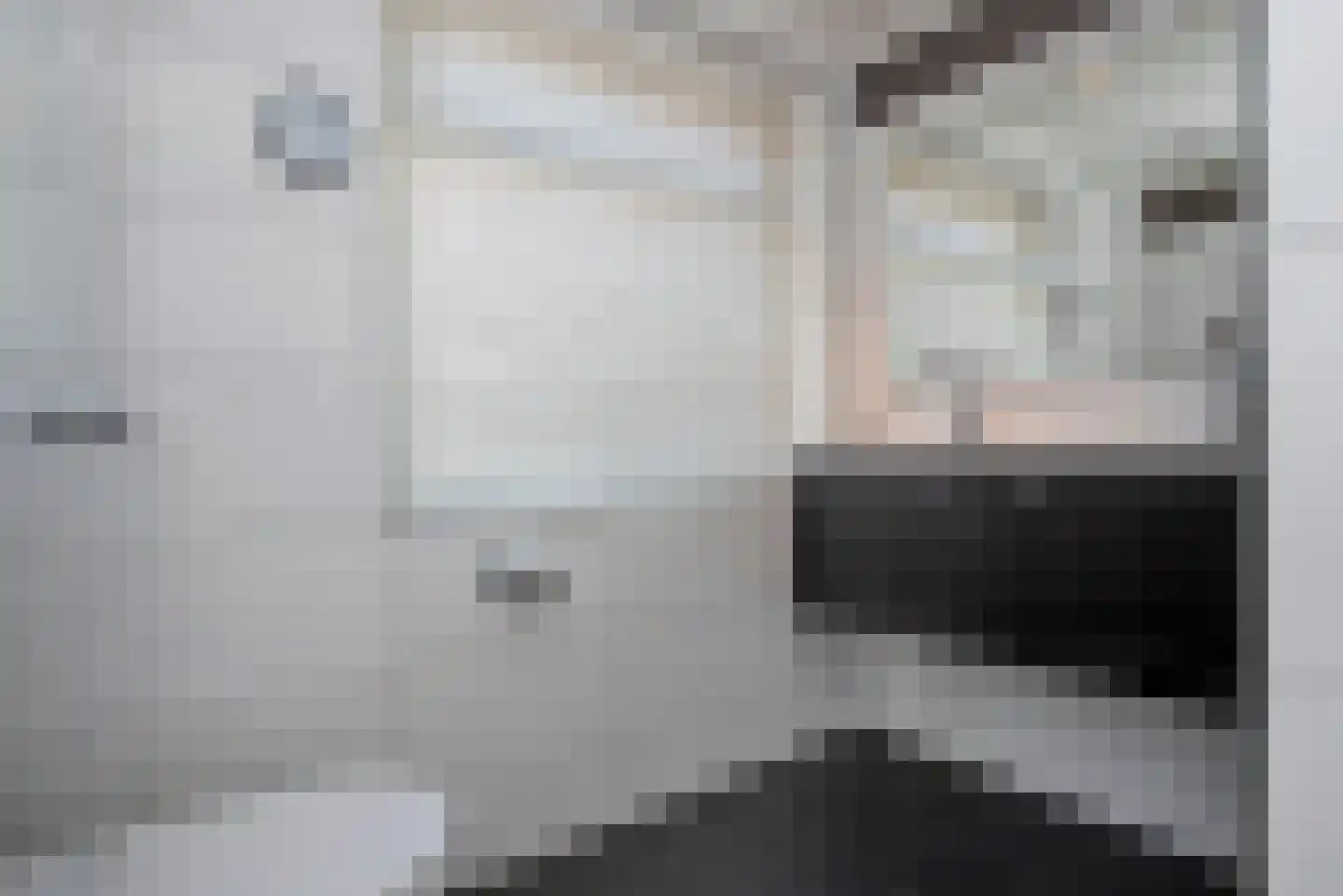 De IJsvogel 5 Delden thumbnail 37