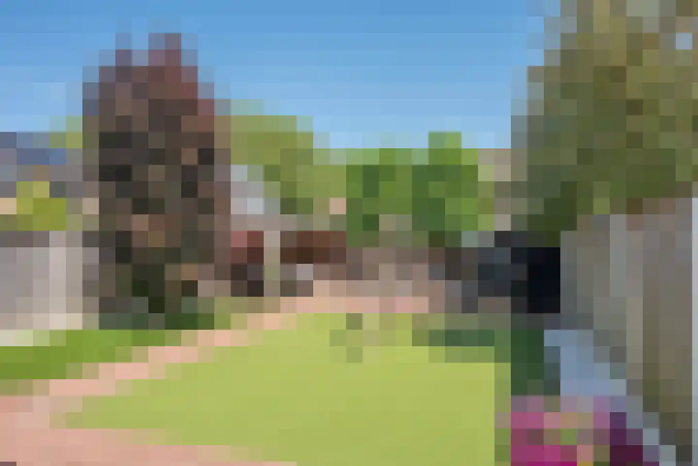 De IJsvogel 5 Delden thumbnail 4