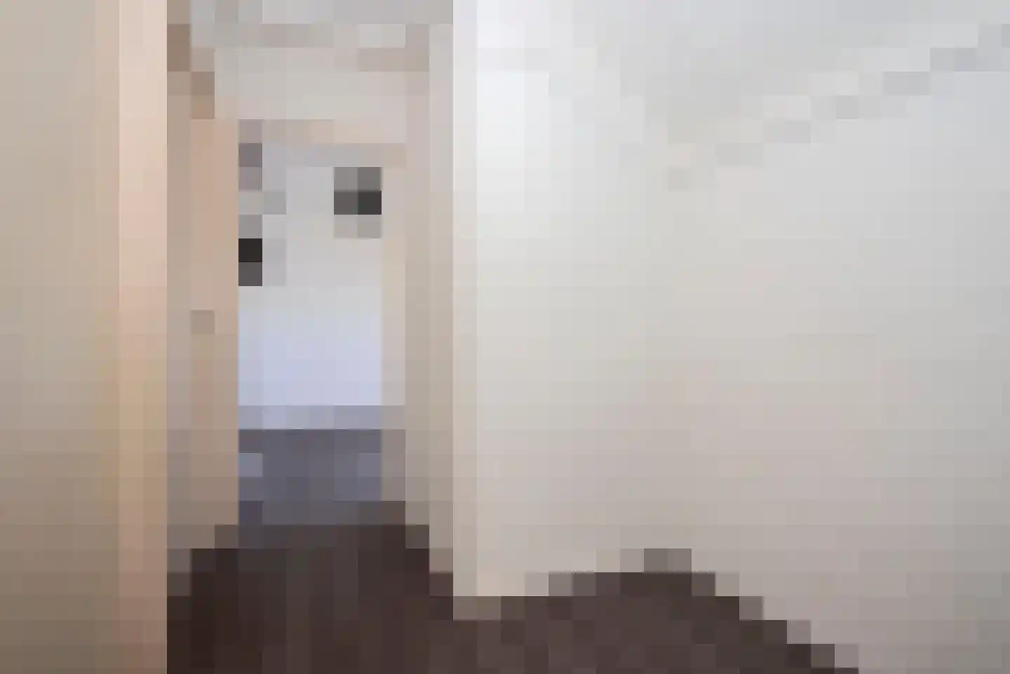 De IJsvogel 5 Delden thumbnail 43