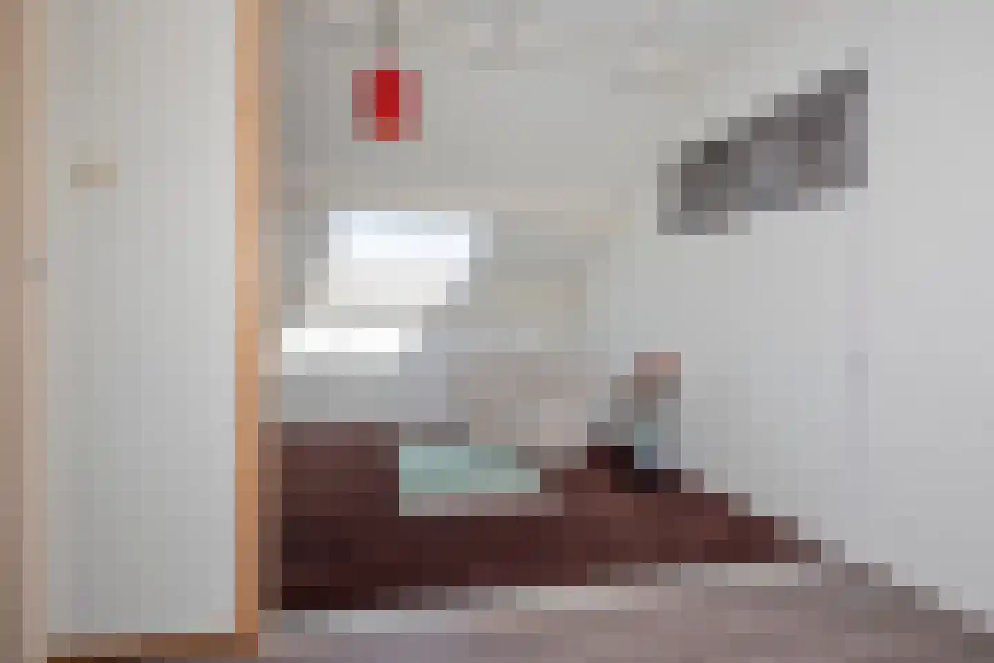 De IJsvogel 5 Delden thumbnail 44