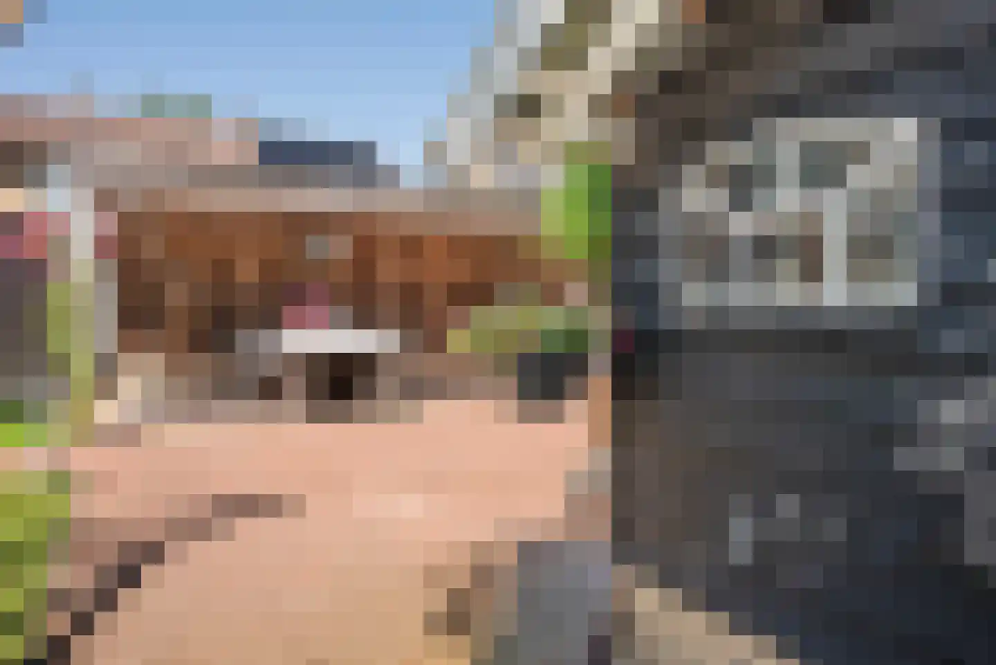 De IJsvogel 5 Delden thumbnail 47