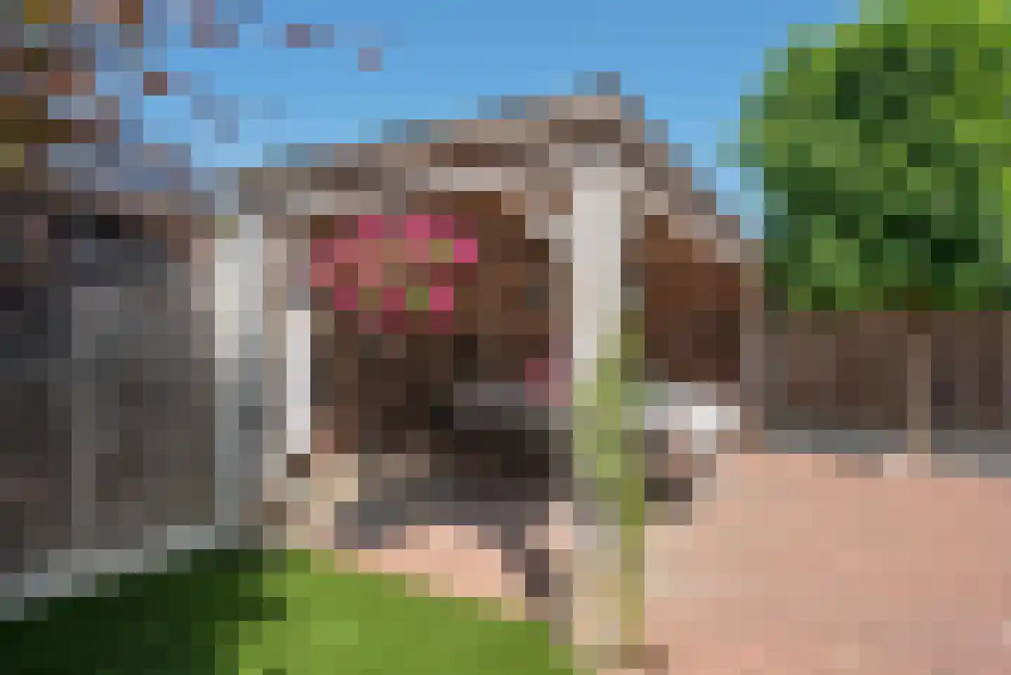 De IJsvogel 5 Delden thumbnail 48