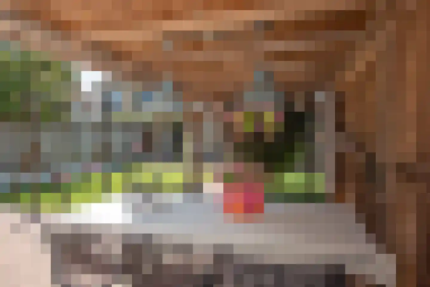 De IJsvogel 5 Delden thumbnail 49