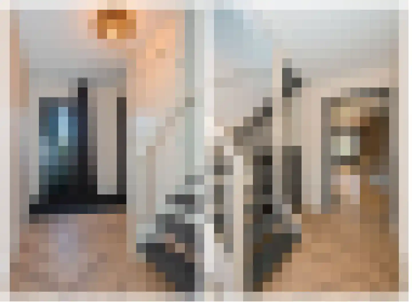 De IJsvogel 5 Delden thumbnail 5