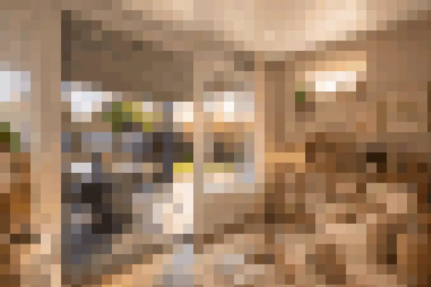 de IJsvogel 6 Denekamp thumbnail 11
