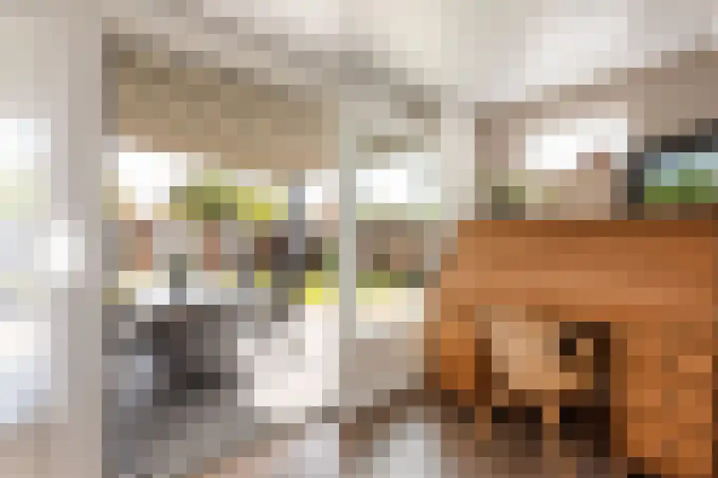 de IJsvogel 6 Denekamp thumbnail 11