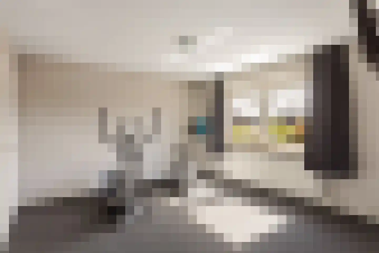 de IJsvogel 6 Denekamp thumbnail 14
