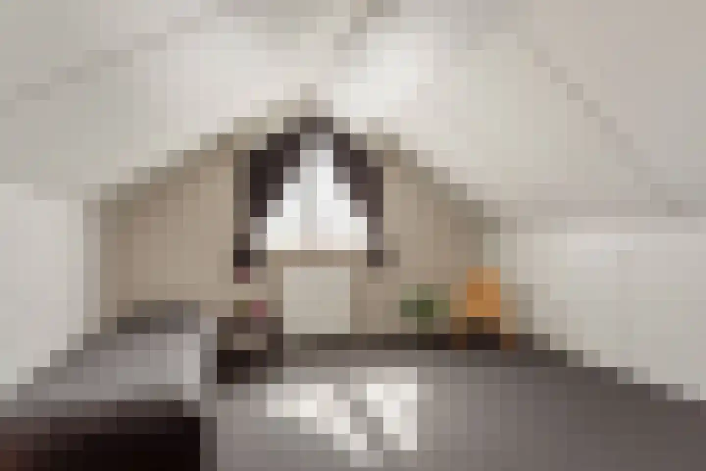 de IJsvogel 6 Denekamp thumbnail 15