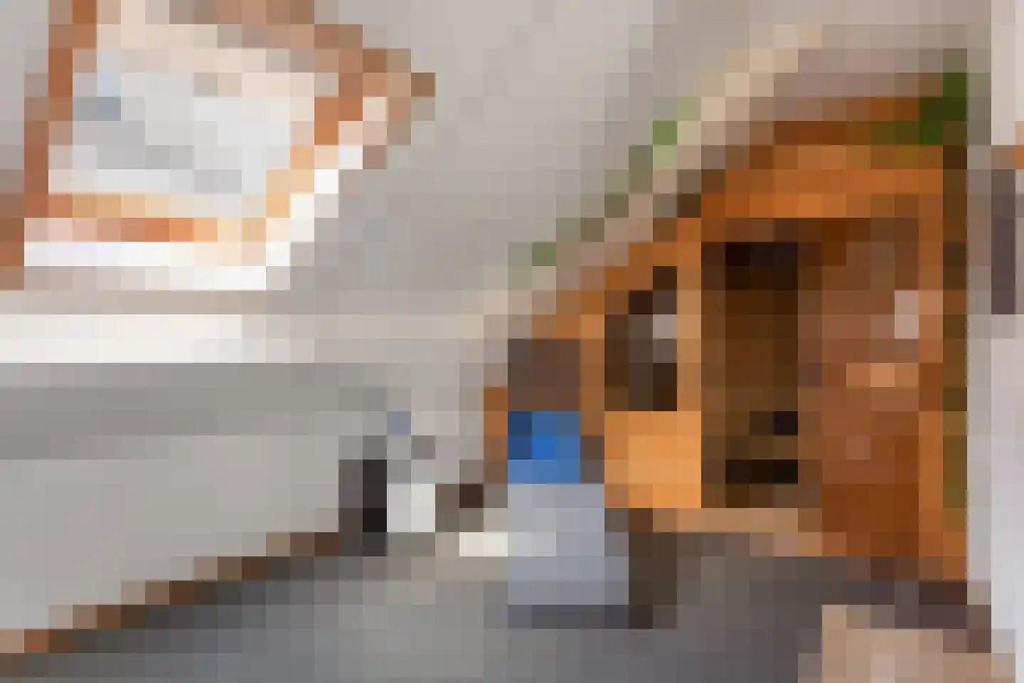 de IJsvogel 6 Denekamp thumbnail 16