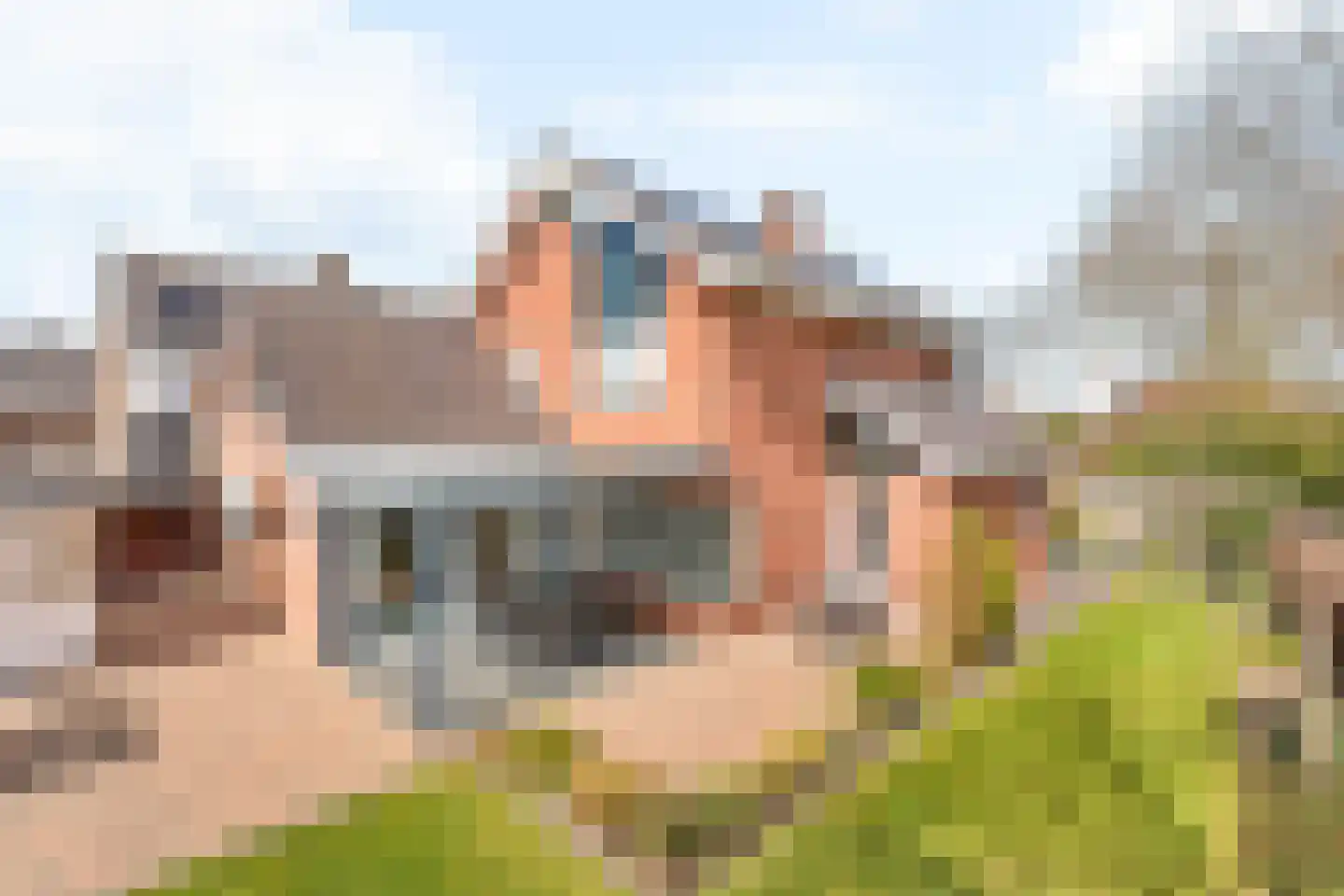 de IJsvogel 6 Denekamp thumbnail 4
